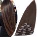 SEGO Clip in Extensions Real Hair Hair Extension Hairpiece 8 Wefts Heat Resistant Straight Dark Brown#2-1 40 cm (90 g)