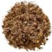 Herbal tea Arnica flower ENT 100 GRS Arnica montana - Buy Online on GoSupps.com