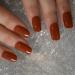 Pumpkin Orange Pure Color Press On Nails - Medium Square Glossy Acrylic Full Cover Art - 24 PCs Kit for Women & Girls - Buy Online on GoSupps.com
