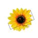 Vasana 6-Piece Sunflower Hair Clips for Women & Girls | Slipproof Crocodile Hairpins | Perfect Hairstyling Accessories for Parties Beach Vacations & Weddings - Buy Online on GoSupps.com