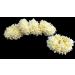 Indian Wedding Gajra Scrunchie Bracelet Set - Floral Jewelry for Hand with Mogra Elastic, Pack of 2 in Jute Bag - Buy Online on GoSupps.com