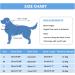 Vanansa Dog Recovery Suit Dog Surgical Suit after Surgery Breathable Dog Onsie Alternative E-Collar Abdominal Wound Protector Dog Medical Suit for Large Dogs Blue Stripe XL XL Blue Stripe - Buy Online on GoSupps.com