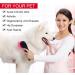 Cold Laser Therapy Device for Joint and Muscle Pain Relief with LED Display - Infrared Light (2x808nm + 12x650nm) - Buy Online on GoSupps.com