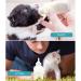 Taihe 60ml Pet Baby Bottle Kit - Durable Silicone Milk Feeder for Newborn Puppies & Kittens - Buy Online on GoSupps.com