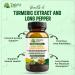 Twisty Herb - Organic Turmeric Extract & Long Pepper 500mg 60 Vegetarian Capsules Vegan Organic Turmeric Curcuma Ayurvedic Herbal Supplement. - Buy Online on GoSupps.com