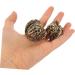 Buy Aokwawaliy 2-St Tea Pet Chinese Walnuts - Unique Mini Walnut Figurines for Home Decor & Stress Relief Gifts - Buy Online on GoSupps.com