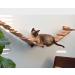Cat Bridge Hanging Hammock & Shelves Set - Sturdy Wall Mounted Cat Furniture 56.7 - Natural Pine Rope Bridge for Large Cats - Easy Install - Buy Online on GoSupps.com