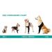 Suitical Recovery Sleeve for Small Dogs - Black | Dog Post-Op Protection - Buy Online on GoSupps.com
