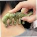 Current Sube Massage Comb - Jade Acupuncture Hair Comb for Muscle Relief & Head Massage | Best Broad Tooth Comb for Relaxation and Wellness - Buy Online on GoSupps.com