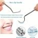 Fitspi Stainless Steel Toothpick Set - Portable & Reusable Metal Tooth Cleaners with Keychain Holder | Perfect for Camping Travel & Outdoor Adventures - 7 Pieces - Buy Online on GoSupps.com