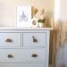 PLT 4-Piece Animal Handle Set - Untreated Walnut Knobs for Children's Furniture | Cute Elephant Lion Hippo Giraffe Designs | Perfect Gift Idea - Buy Online on GoSupps.com