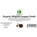 KOPABANA Organic Alligator Pepper Seeds - Premium Mbongo Spice | 1oz Grains of Paradise - Buy Online on GoSupps.com