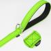 Taglory Light Dog Leash for Small Dogs | Reflective Double-Sided | Padded Handle | 1.2m x 2cm | Up to 10kg - Green (1-Pack) - Buy Online on GoSupps.com