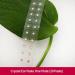 Buy Ear Seed Acupressure Set | Ear Seed Stickers & Face Massage Tools - International Shipping - Buy Online on GoSupps.com