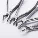 LMEILI Stainless Steel Tooth Extraction Forceps Kit - Dental Surgical Pliers for Adults | International Shipping Available - Buy Online on GoSupps.com