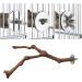 Natural Wood Bird Cage Platforms - Ockyunoo 2 Piece Set | Perfect Bird Seat Rods & Bubble Rods for Nymphensittich - Buy Online on GoSupps.com
