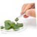 Minkissy 4-Part Set Tweezers for Eyelashes & Gardening - Stainless Steel Non-Slip Tools for Precision Planting & Splinter Removal - Buy Online on GoSupps.com
