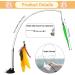 8Pcs Cat Feather Toys - Interactive Cat Teaser Wand with Suction Cup | Detachable Replacements | Indoor Cat & Kitten Toys - Buy Online on GoSupps.com