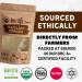 Berrilys Organic Hazelnut Powder 1 LB - Baking and Topping Ingredient - No Additives or Preservatives - Sugar-Free - Buy Online on GoSupps.com