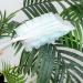 Fluffy Duster Refill Disposable Duster Refill Hand Duster Refill Replacement Duster Head with 10Refills for Cleaning 10PCS/Set Hand Duster Refills Replacement Duster Heads Duster Refill Heads - Buy Online on GoSupps.com