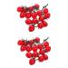 Alipis 2pcs String Simulated Cherry Tomatoes Cherry Tomatoes Decor Realistic Cherry Tomato Model Decor Kid Toy Foam Food Fruit Prop Pvc Red Household Products Child Fake Vegetables Redx2pcs 18X16CMx2pcs