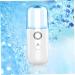 WOONEKY Nano Water Replenishing Instrument Nano Mister USB Charged Humidifier Nano Steamer White Plastic - Buy Online on GoSupps.com