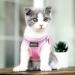 Suredoo XXS Pink Dog Harness with Leash - Reflective Anti-Train Chest Harness for Small Dogs Puppies & Cats - Buy Online on GoSupps.com