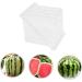 UKCOCO 2pcs Tool Vegetables Garden Shaping Molds Fruit Shaping Mould Pumpkin Ginseng Fruit Cucumber 15x15cmx2pcs Transparentx2pcs - Buy Online on GoSupps.com