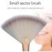 Soft Facial Applicator Brushes Champagne Facial Fan Mask Brushes for Everyday Use - Buy Online on GoSupps.com