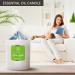 Armatics Green Apple Fragrance Candle - Natural Soy Aromatherapy Candle for Home | Perfect Gift for Mother's Day & Birthdays - Buy Online on GoSupps.com