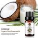 Coconut Essential Oil Pure Undiluted Premium Grade Coconut Oil - 10 mL Coconut 10 ml (Pack of 1) - Buy Online on GoSupps.com