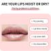 Buy Lip Sleeping Mask | Moisturizing Overnight Mask for Chapped Dry Lips - Hydrating Lip Care for Men & Women - Buy Online on GoSupps.com