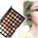 DOITOOL 2pcs 40 Multicolor Shadow Girls Cosmetic Colors Ladies Eyeshadow Smoky Makeup Pallet Lustre Matte - Buy Online on GoSupps.com