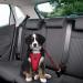 Shop Slowton Dog Harness with Seat Belt - Breathable Latex Puppy Safety Harness for Car | XXS Vermilion - Perfect for Everyday Sports - Buy Online on GoSupps.com