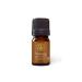 Aromatics International Premium Organic Nutmeg Essential Oil 5ml | 100% Pure Essential Oil for Diffusion & Aromatherapy Nutmeg 0.17 Fl Oz (Pack of 1)