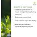Buy Kerala Ayurveda Bala Thailam - Rejuvenative Massage Oil for Body | Strengthens Muscles & Balances Vata | 6.8 Fl Oz | International Shipping - Buy Online on GoSupps.com