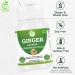  Morsan Healthcare Ginger (Zingiber officinale) Capsules | Pack of 60 x 500 mg Vegetarian Capsules | Natural Food Supplement | GMP Certified | Gluten-Free (120) - Buy Online on GoSupps.com