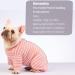 AOKAZI Hunde-Chirurgie-Genesungsanzug Welpen-Katzen-Einteiler f r Ausfallen Hautkrankheiten Wundschutz medizinischer Haustier-Chirurgischer Anzug Hunde-Pyjama (Rosa Medium) M PINK - Buy Online on GoSupps.com
