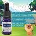 Forces of Nature Calm Mood for Kids - Organic Homeopathic Medicine for Stress Irritability & Mood Swings - Non-Drowsy Support 0.34 Fl Oz - Buy Online on GoSupps.com