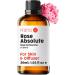 Hana Rose Essential Oils for Skin Use & Aromatherapy - 100% Pure Therapeutic Grade Rose Oil for face - Rose Oil Essential Oil for Diffuser, Skin, Face, Hair & Perfume (1 fl oz) Rose Absolute