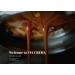 VIA CREMA 250 gr Coffee Beans Dark Chocolate Bag Coffe Beans Vanilla Hazelnut 250 g (Pack of 1) - Buy Online on GoSupps.com