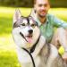 TIESOME Slip Collar Dog Training Choke Collar Round Nylon Rope Collar No Pull P-Collar for Small Medium Large Dogs (Black M) - Buy Online on GoSupps.com