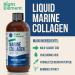 Liquid Marine Collagen | Wild Caught Cod - Hydrolyzed Keratin Peptide Hyaluronic Acid & Biotin - Healthy Hair Skin & Nails - Made in USA (Natural Berry 8.00 Fl Oz (1-pack)) - Buy Online on GoSupps.com
