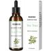 YouPo Tea Tree Oil for Skin & Hair | 100 ml Natural Moisturizing & Soothing Essential Oil | Best Hair Repair Oil for Body & Hair - Buy Online on GoSupps.com