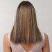 Brown Mixed Blonde Highlight Wig for Black Women | Smooth Bob Wig with Dark Roots & Ponytail | Daily Use - Buy Online on GoSupps.com