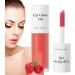 Lip Balm with Colorant Long Lasting Tonal Lip Oil Face Makeup for Evening School Day Event Party Wedding 01 - Buy Online on GoSupps.com