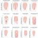3D bow nail patch camellia nail patch European and American wearable nail patch medium ins style wearable nail patch fake nail patch 1 count (Pack of 1) - Buy Online on GoSupps.com