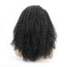Buy Small Curly Black Fluffy Wig - Front Lace Chemical Fiber for Men | Long Curly Hair Wig - Buy Online on GoSupps.com