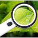 High-Power Optical Handheld Magnifier with LED Lights 30 Times 100MM HD Children's Elderly Reading Identification Made in China - Buy Online on GoSupps.com