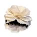 Silk Flower Hair Claw Clip Ponytail Holder Hair Jaw Barrettes Hair Accessories for Women Girls